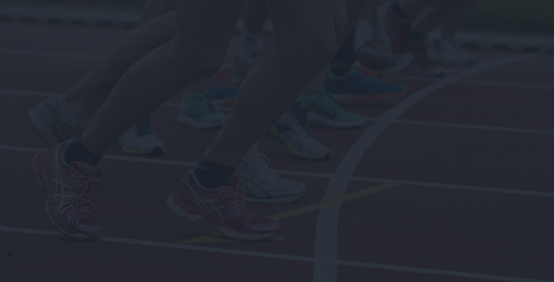 Specialized retail POS software download